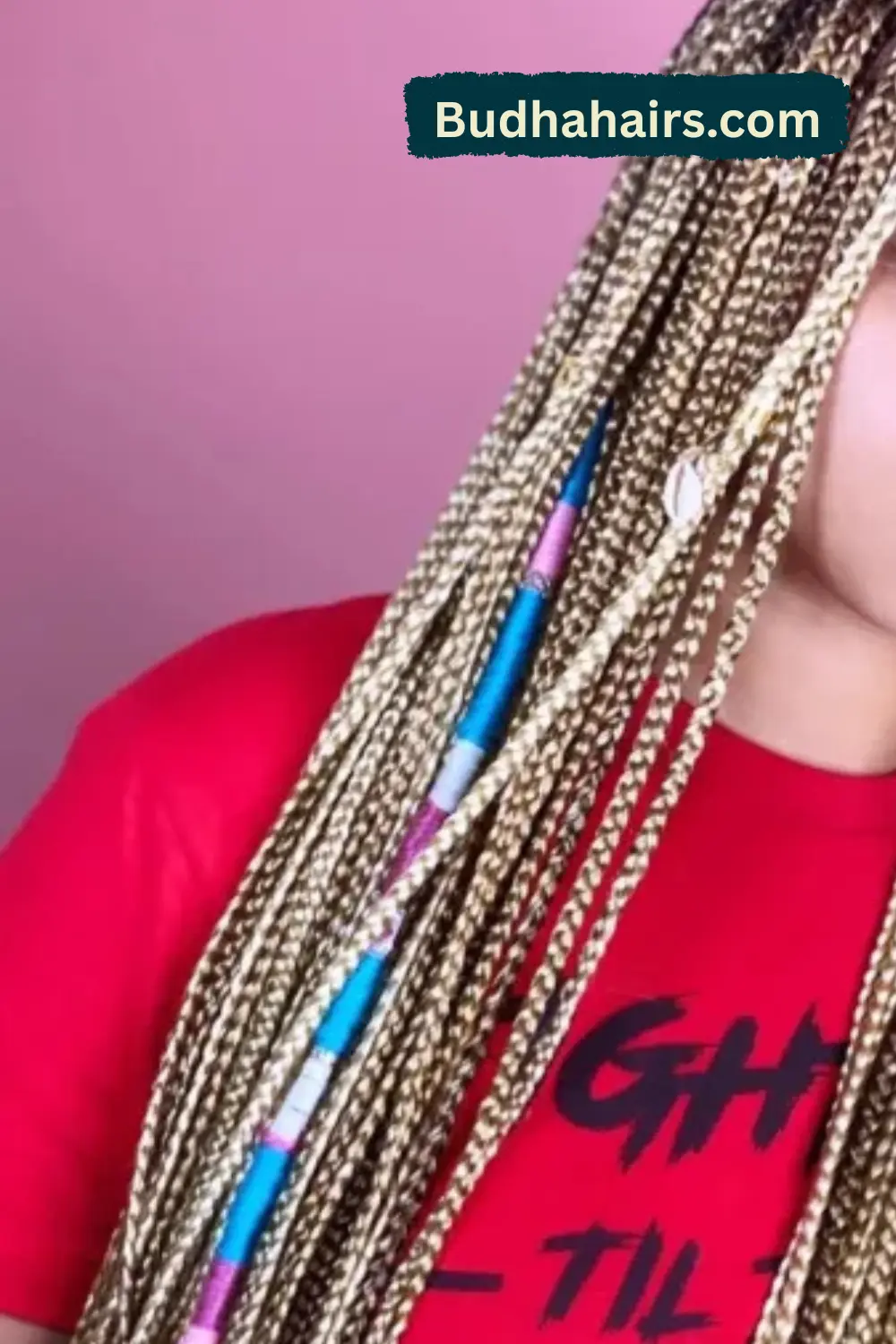Long Braids with Delicate Pink Accents