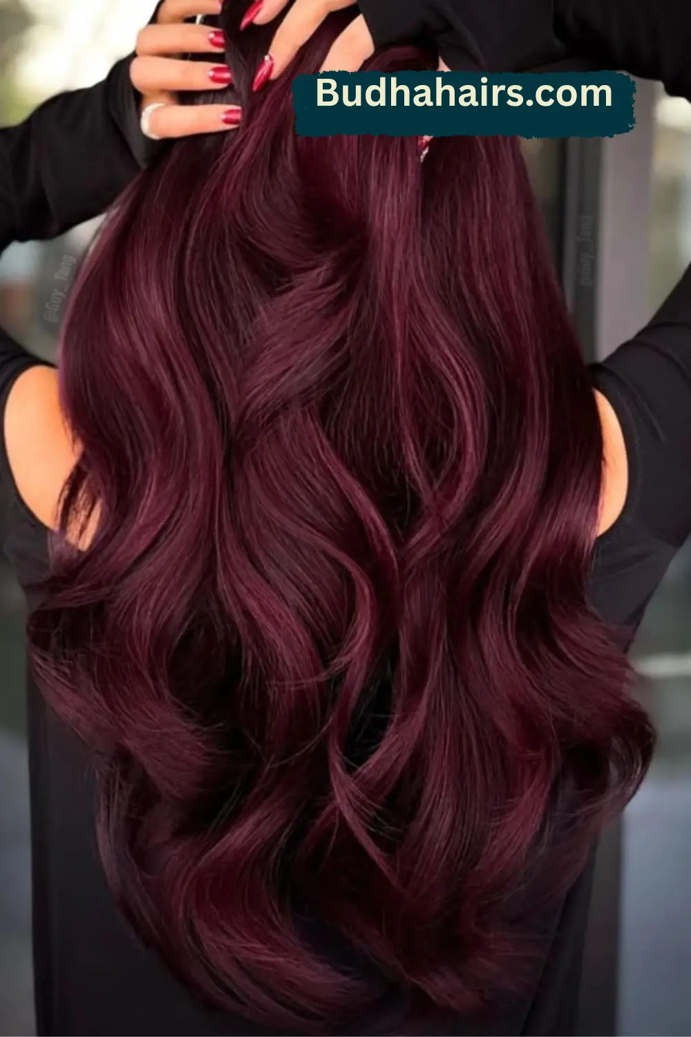 Wine Red Hidden Hues